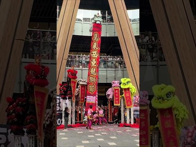 2025  Lion Dance Extravaganza