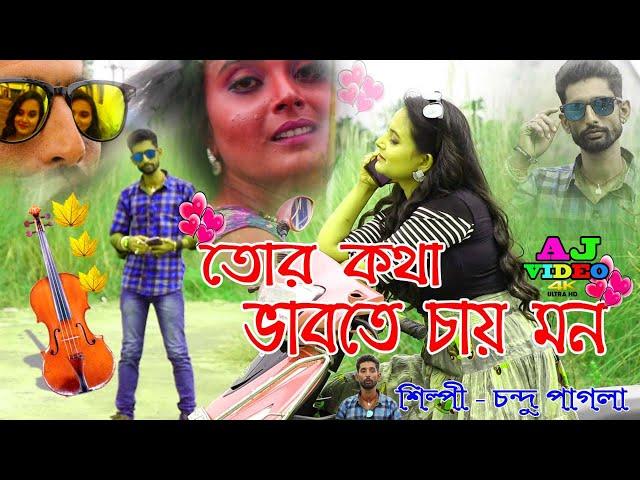 তোর কথা ভাবতে চায় মন || শিল্পী চন্দু পাগলা || AJ video