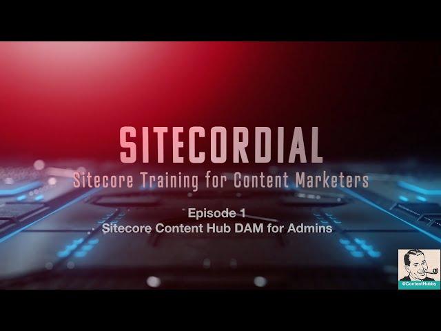 Sitecore Content Hub Digital Asset Management (DAM) Admin Overview and Metadata Setup