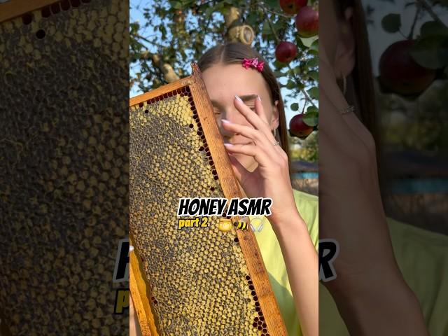 part2| Honey ASMR #asmr #mukbang #asmrfood #honey #asmrsounds #asmrvideo #foodlover #sweets