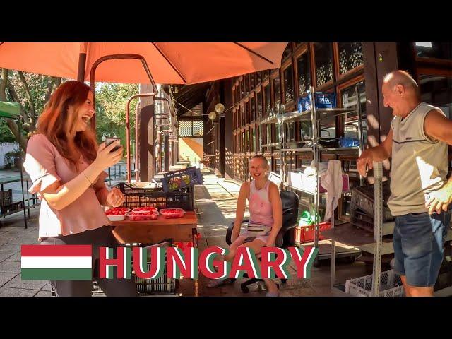 What are the HUNGARIAN people like? - Traveling alone in Hungary