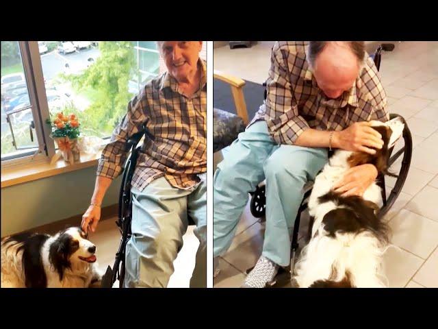 Hero Dog Saves Man's Life After He Falls and Breaks His Hip