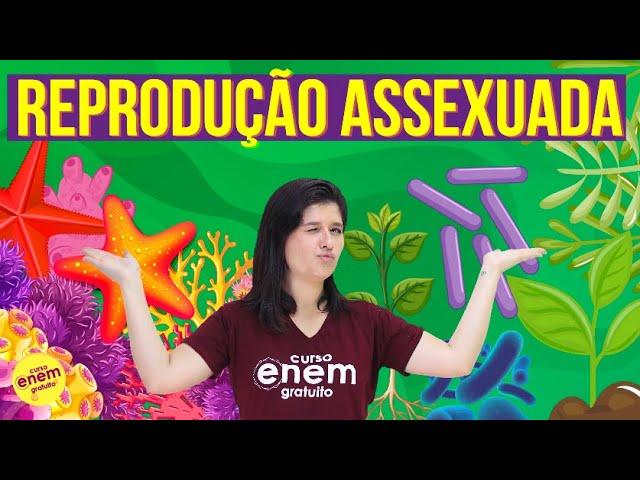 REPRODUÇÃO ASSEXUADA: TIPOS, VANTAGENS E DESVANTAGENS | Resumo de Biologia para o Enem