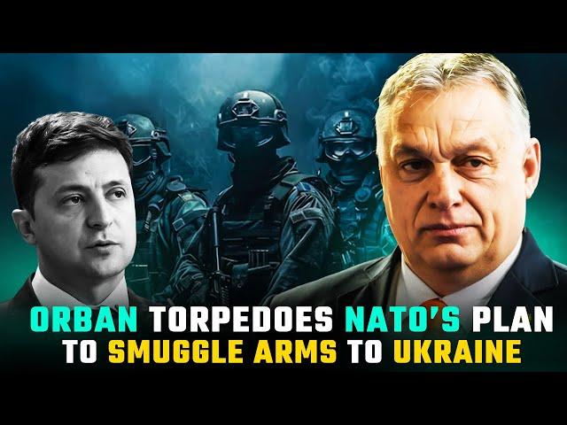 Zelensky now wants a peace deal with savage Orban