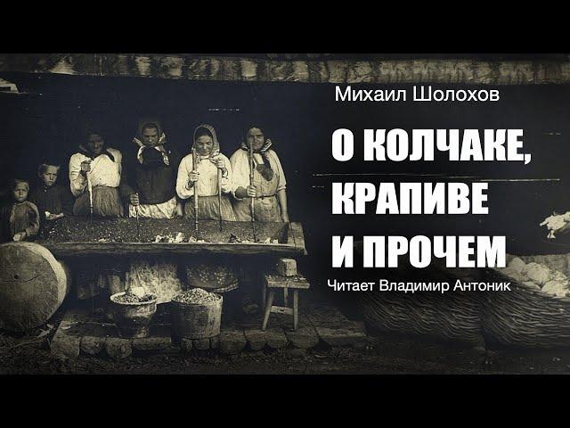 «О Колчаке, крапиве и прочем». Михаил Шолохов.  Аудиокнига. Читает Владимир Антоник