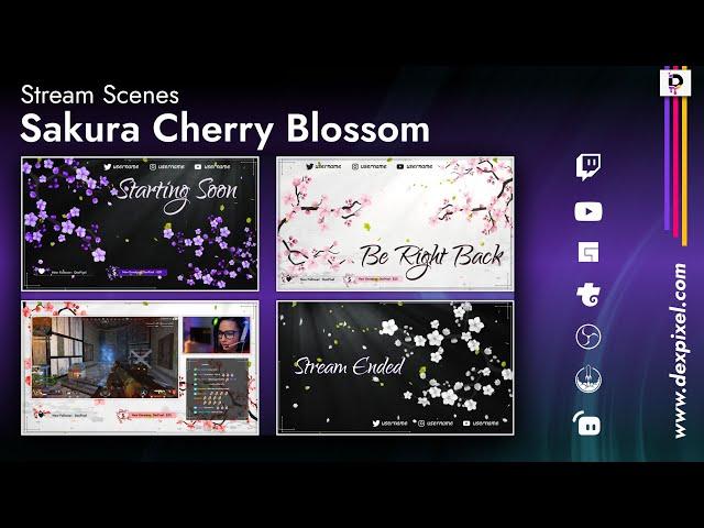 Animated Twitch Stream Scenes Sakura Cherry Blossom Overlays