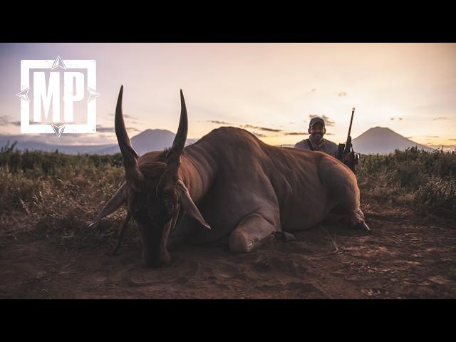 Hunting Kirk's Dik-Dik, Ostrich and Patterson's Eland - Tanzania | Mark V. Peterson Hunting