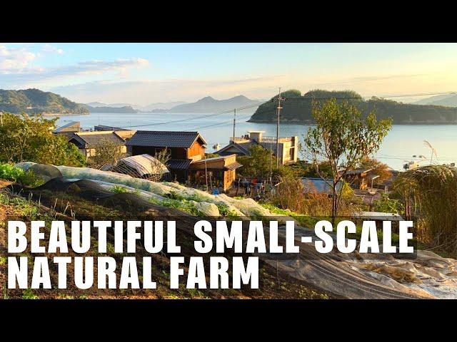 Man Creates INCREDIBLE Small-scale Sustainable NATURAL FARM