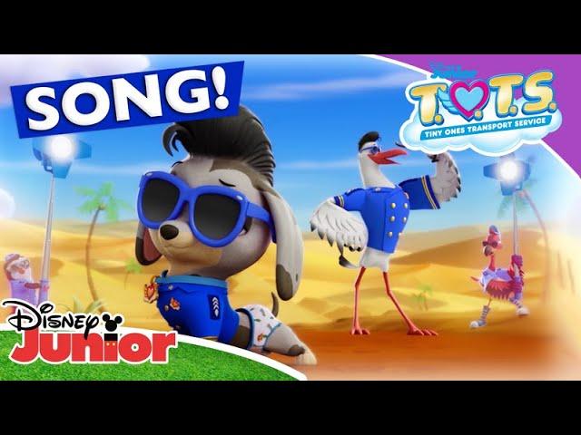  Picture Perfect | TOTS | Disney Junior Africa