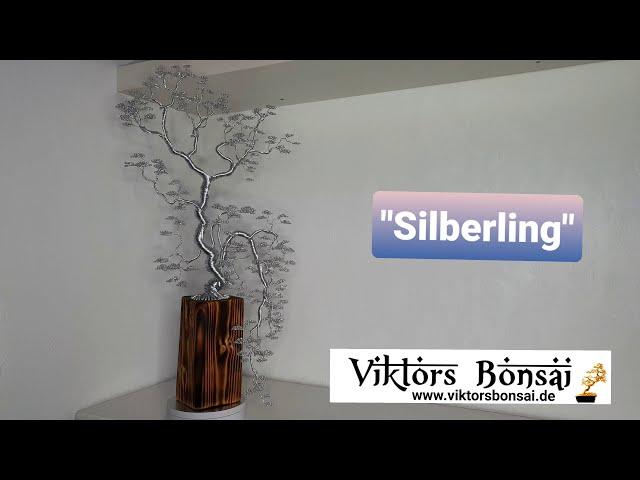 Viktors Bonsai  "Silberling". Drahtbaum, Bonsai aus Draht, drahtbaum kaufen.