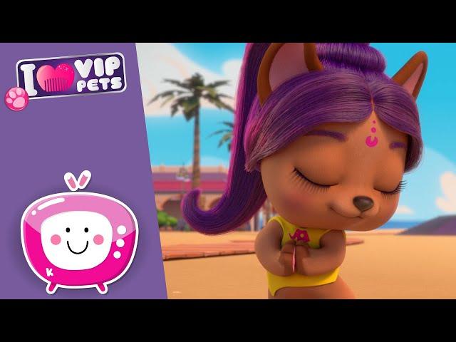  LUCI, MOTORE e BOLLYWOOD  VIP PETS  NUOVO Episodio  CARTONI ANIMATI per BAMBINI in ITALIANO