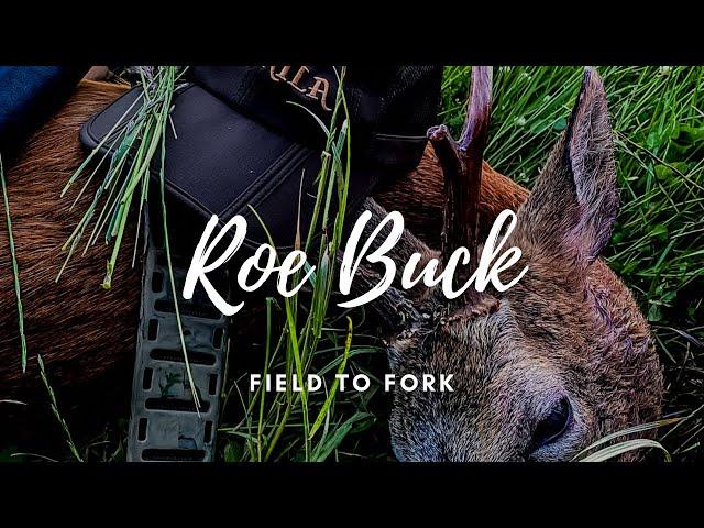 Stalking a Roe Buck - Venison Field to Fork - Hunter Gatherer Cooking HGC