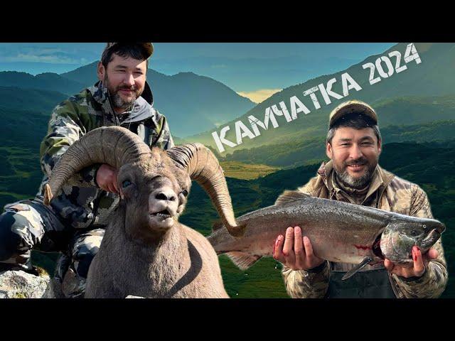 Трофейная охота и рыбалка на Камчатке. Август 2024/Snow sheep hunting and fishing in Kamchatka.