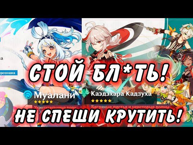 Стоит Ли Крутить Муалани Или Кадзуху в 5.0??? Genshin Impact