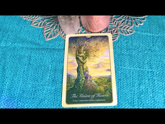 Whispers Of Love Oracle Deck Flip Through 