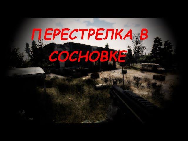 [Will To Live Online]  Перестрелка в Сосновке (Full HD 60 FPS)