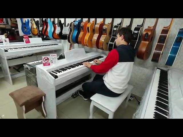 Elektron Pianino Allegro. Rast Musiqi alətləri mağazasında.