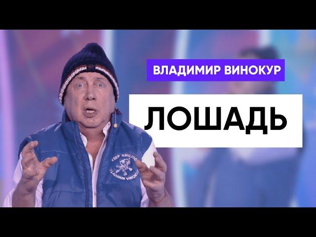 Владимир Винокур - Лошадь