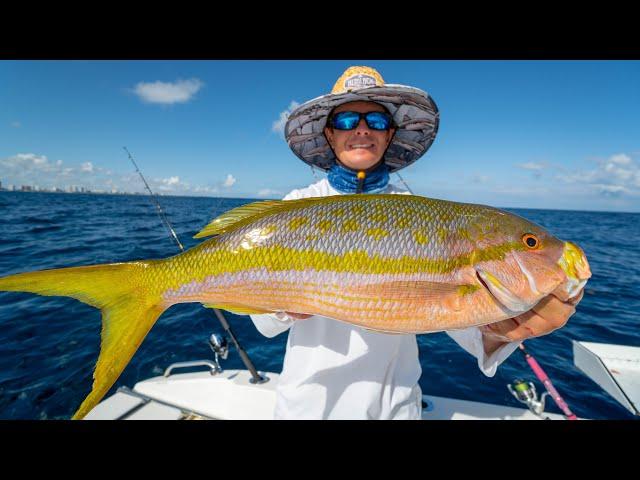 MONSTER Yellowtail Snapper- Catch Clean Cook