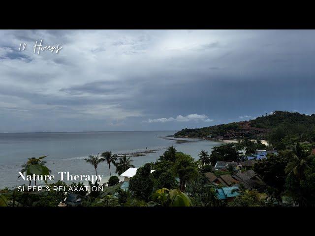 Nature Rain Sounds: Tropical Rain in Koh Phangan Thailand | Sounds for Sleep