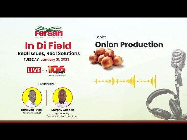 Onion Production  |  Fersan in di Field on Power106FM