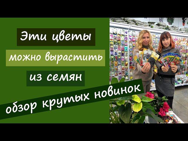 Эти цветы можно вырастить из семян. Обзор крутых новинок