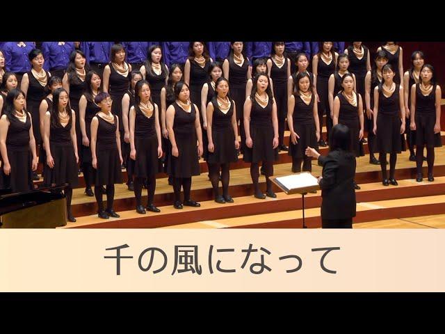 千の風になって／化作千縷微風 A Thousand Winds（新井満／arr. 榎本潤）- National Taiwan University Chorus