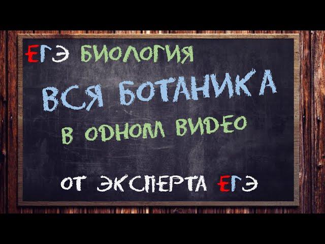 Вся ботаника ЕГЭ тут от эксперта ЕГЭ | Биология ЕГЭ