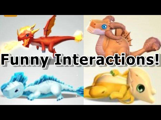 ALL Shop Dragon SPECIAL Interactions! - Dragon Mania Legends (Funny Interaction Compilation)