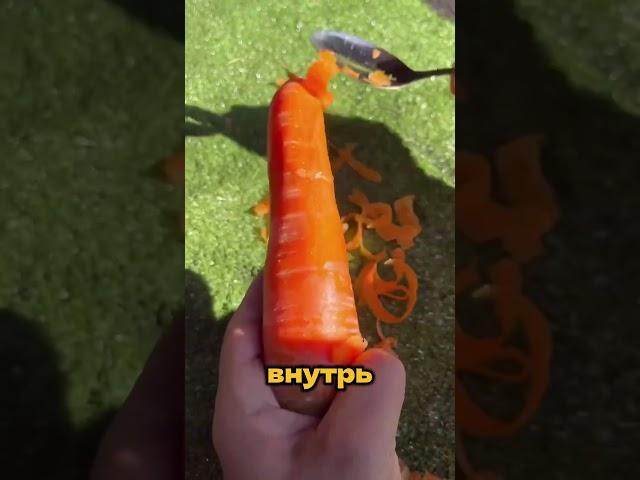Секретный способ использовать ложку