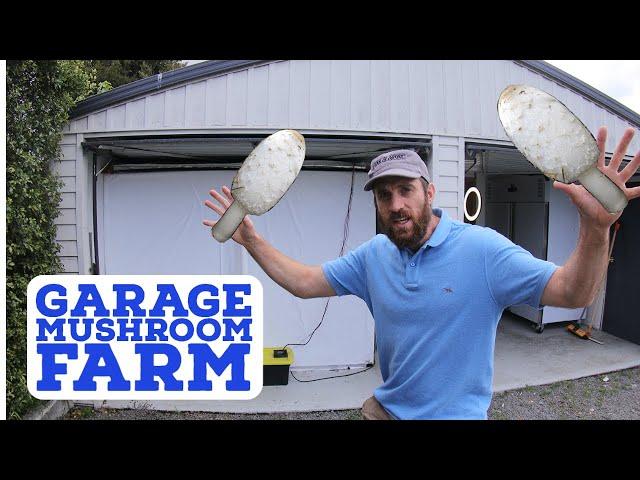 How to start a Mushroom Farm in your Garage