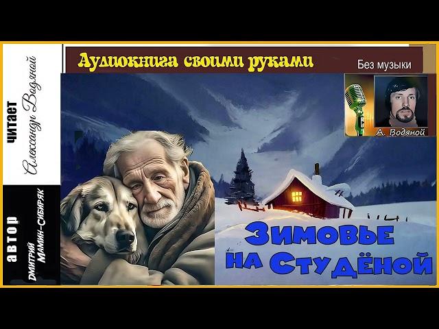 Д. Мамин-Сибиряк. Зимовье на Студёной (без муз) - чит. Александр Водяной