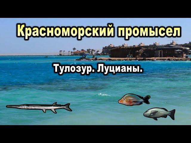 Красноморский промысел. Тилозур.  Луцианы.  Русская Рыбалка 3. (Russian Fishing)