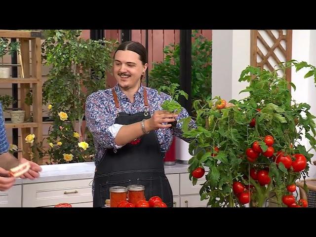 Roberta's 3-Piece Tomato Lover's Variety Pack Live Plants on QVC