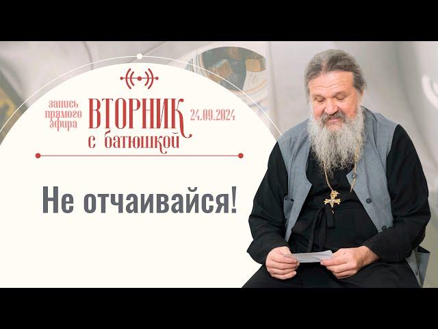 Как найти подход к человеку? Вторник с батюшкой. Беседа с прот. Андреем Лемешонком 24 сентября 2024