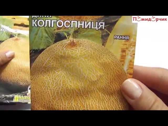 Семена Дыни Колхозница - Помидорчик