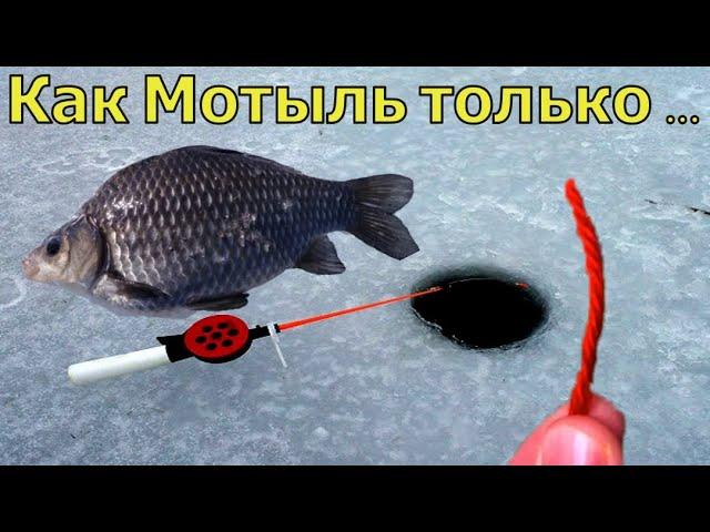 ЗИМНЯЯ НАСАДКА УШЛЫХ РЫБАКОВ. Лучше мотыля и бесплатно! Рыбаки в Шоке. Рыбалка в Глухозимье