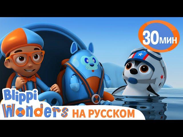 Учимся Летать с Пингвинами  | Обучающие мультки для детей | Blippi Russian