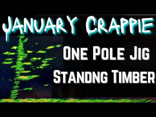 One Polling January Crappie on Truman Lake | Livescope