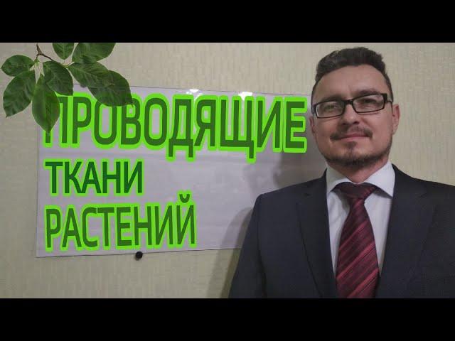 ЛАЙФХАК ДЛЯ ЗАПОМИНАНИЯ ПРОВОДЯЩИХ ТКАНЕЙ РАСТЕНИЙ