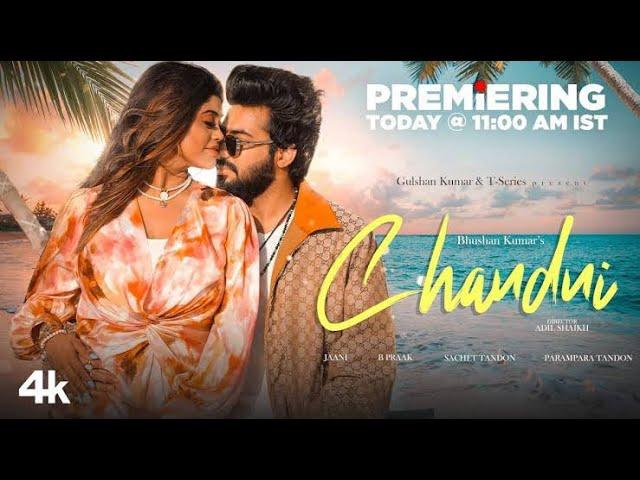 Chandni / Sachin Tandon & Parampara Tandon / B.Park ( Official Song )