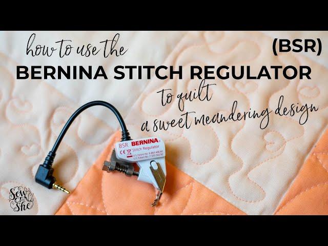 How to Use the BSR Bernina Stitch Regulator to Free Motion Quilt a Cute Meandering Design (tutorial)