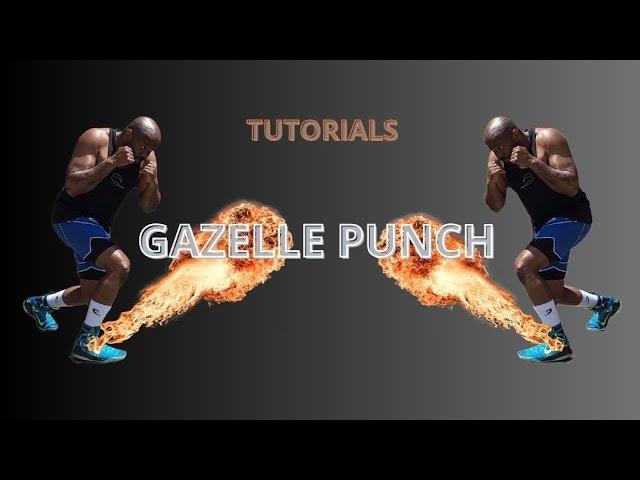 GAZELLE PUNCH