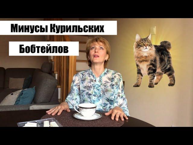 КУРИЛЬСКИЙ БОБТЕЙЛ //СТОИТ ЛИ ЗАВОДИТЬ? // мой опыт