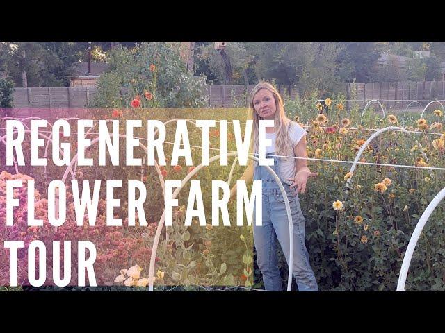 A tour of our regenerative flower farm!