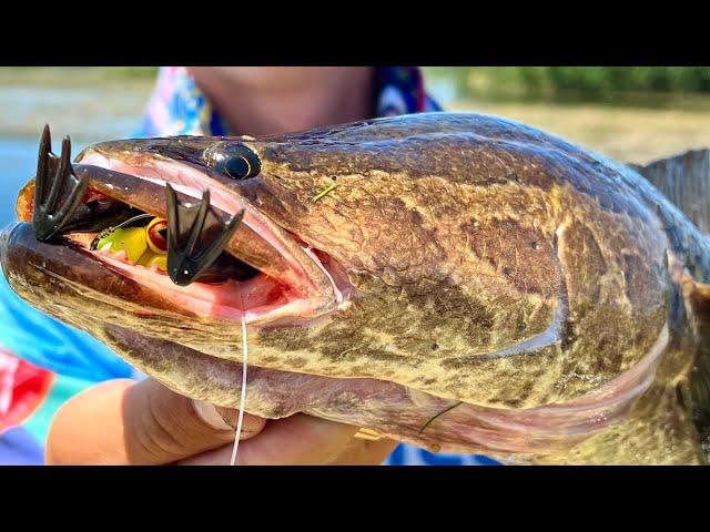 Сумасшедшие РЫБЫ В ГУЩЕ ТРАВЫ! ЗМЕЕГОЛОВ АТАКУЕТ ЛЯГУШЕК! StalingradFishers в КАЗАХСТАНЕ!