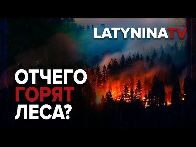 Юлия Латынина /Разбираем: Отчего горят леса?/ wildfires / LatyninaTV /