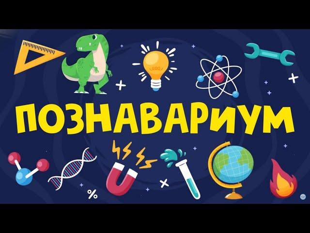 Познавариум. Мохнатые и усатые