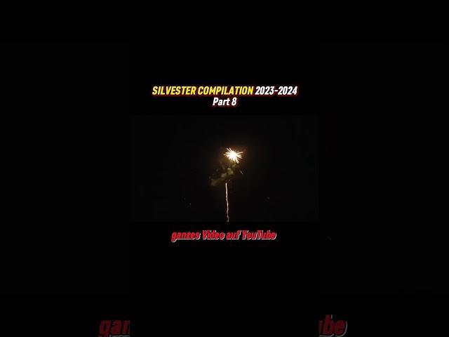 SILVESTER COMPILATION 2023-2024 | Part 8