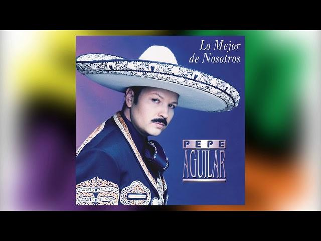 Salado - Pepe Aguilar del álbum Lo Mejor De Nosotros